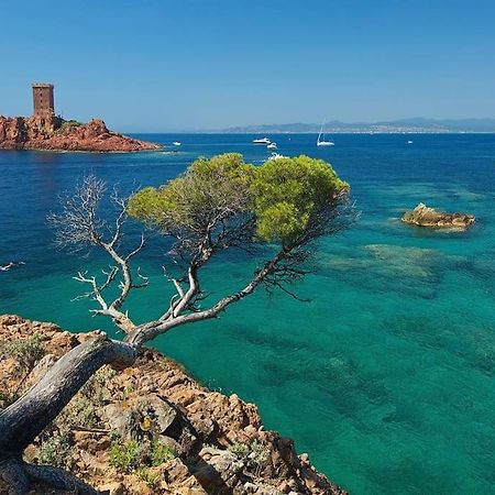 Appartement Frejus Avec Jardin, Piscine, Plage, Tennis Esterno foto
