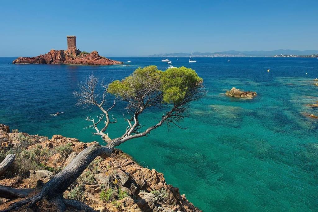 Appartement Frejus Avec Jardin, Piscine, Plage, Tennis Esterno foto